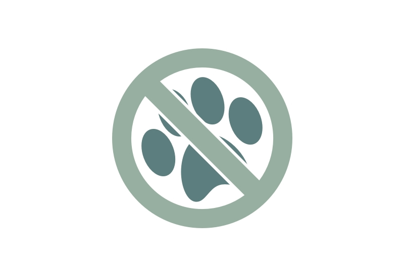 No mascotas